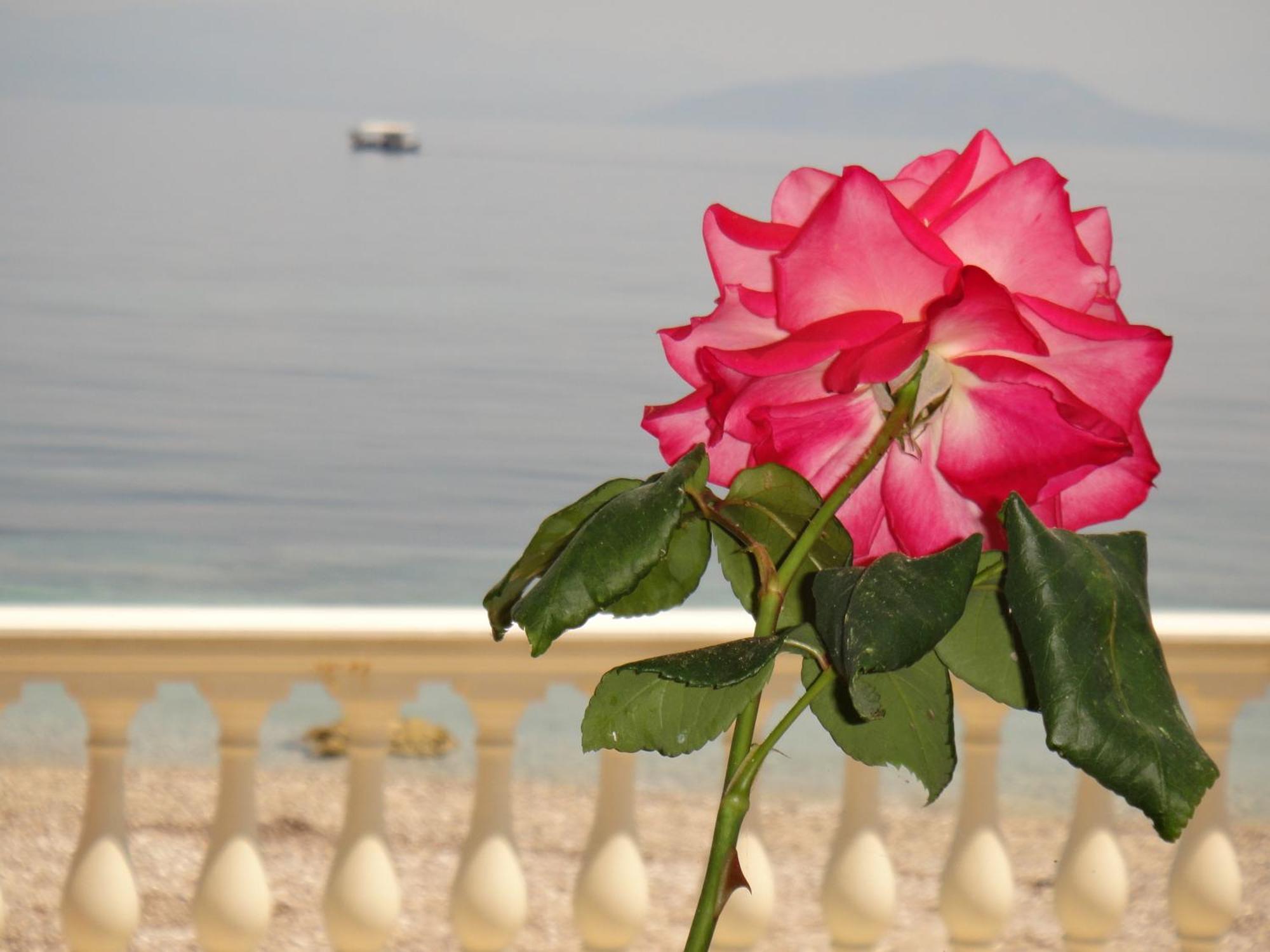 Apartments Corfu Sun Sea Side Benitses  Buitenkant foto