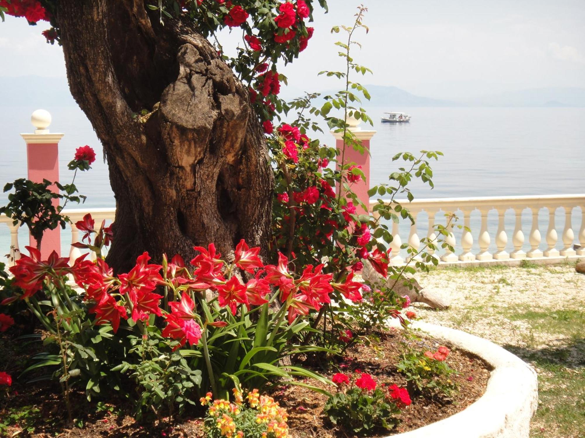 Apartments Corfu Sun Sea Side Benitses  Buitenkant foto